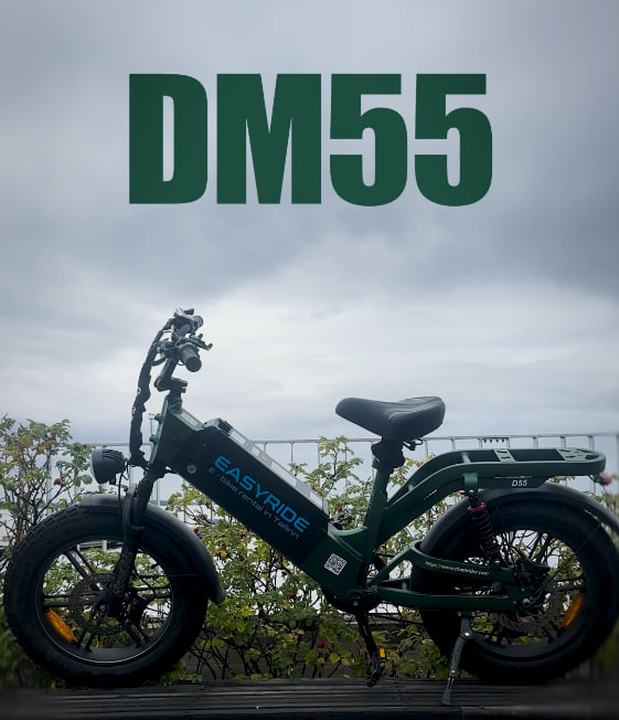 EasyRide DM55 shown in a real photo